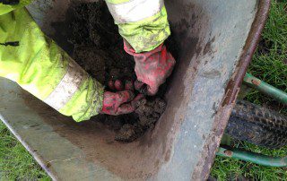 Soil analysis