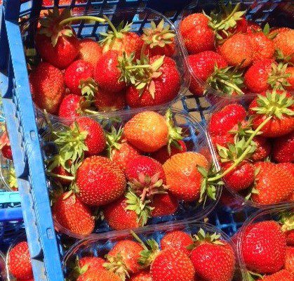 Coleshill Organics Elan strawberry punnets