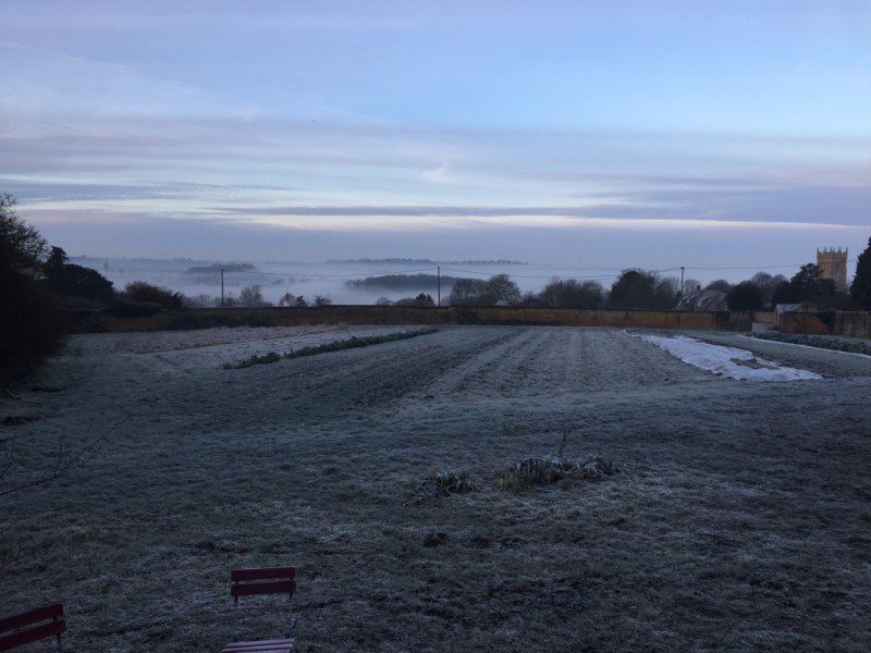 A winter view of the garden at Coleshill Organics