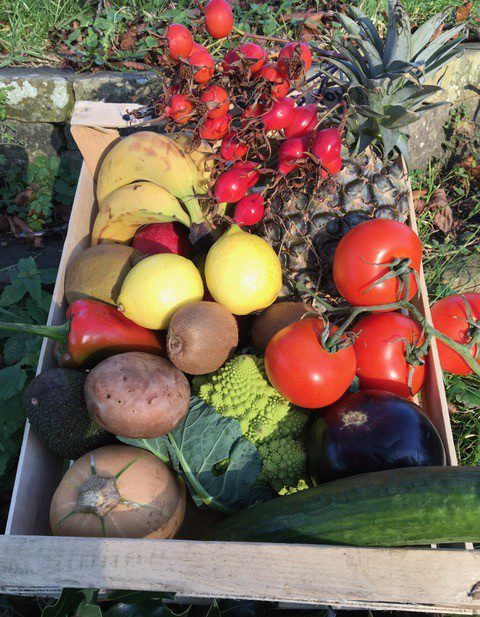 Organic Christmas Box