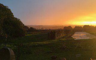 Sunset at Coleshill Organics