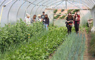 Future growers visit Coleshill Organics