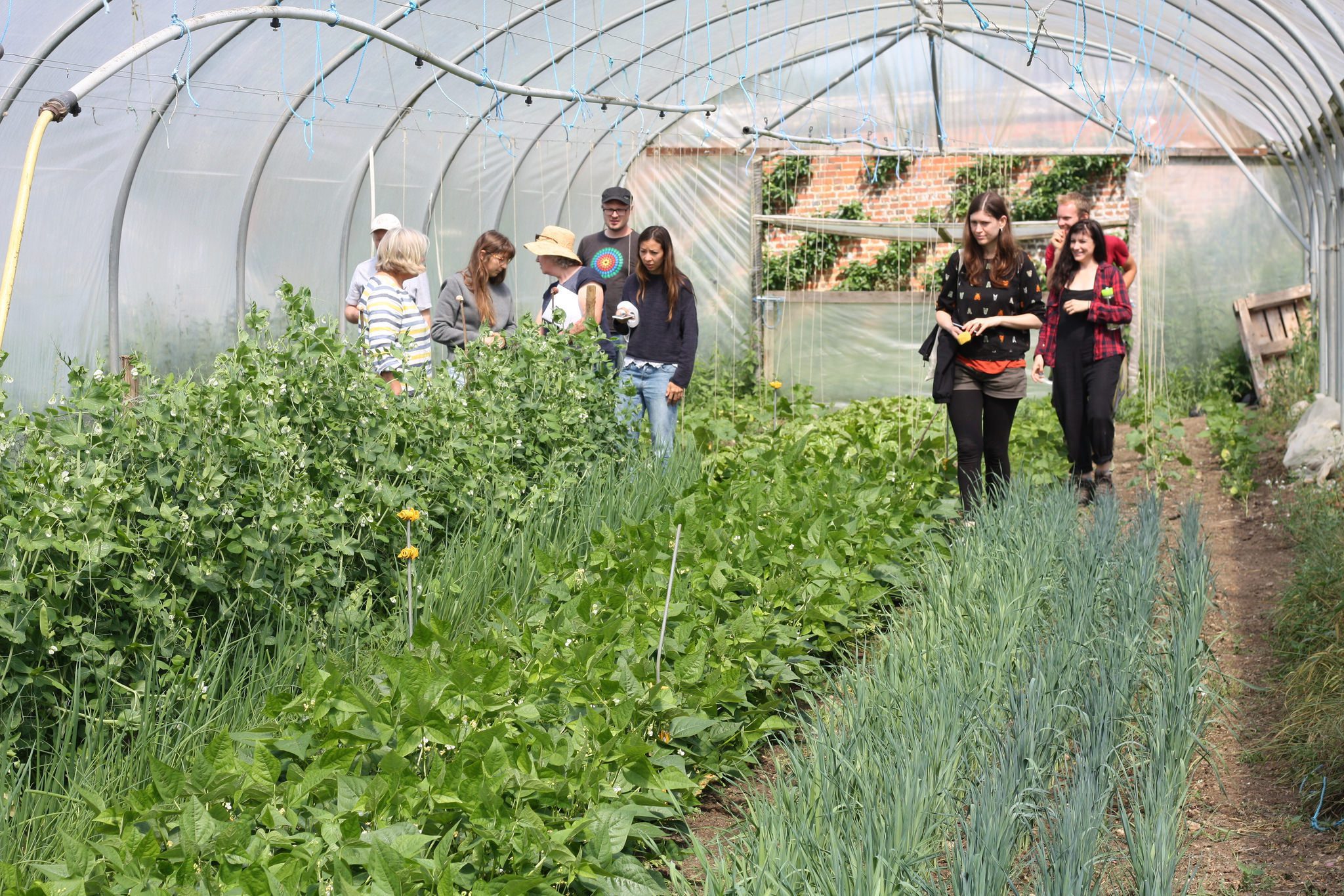 Future growers visit Coleshill Organics