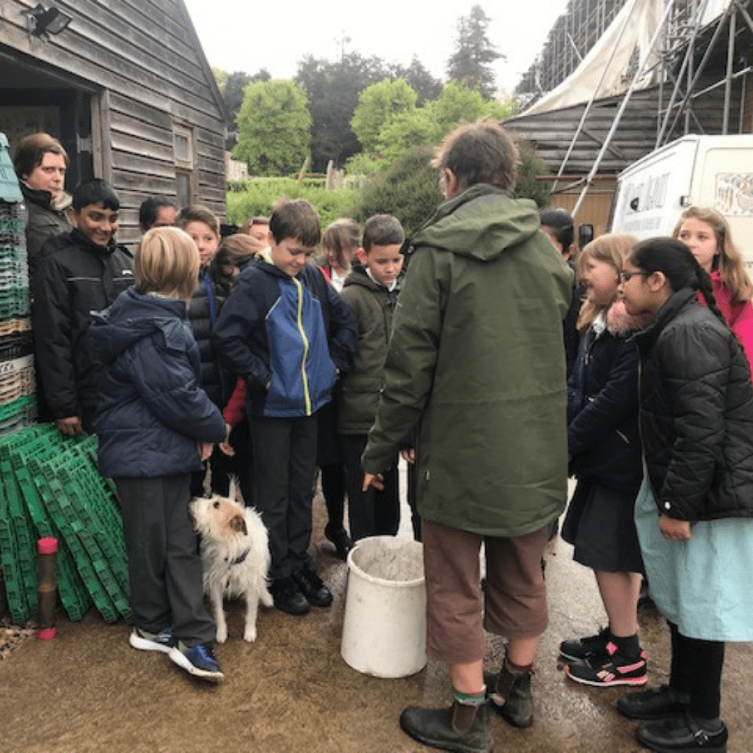 School children visit Coleshill Organics School children visit Coleshill Organics