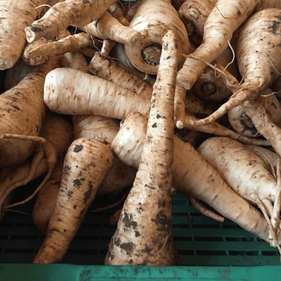 Parsnips