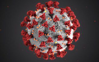 Coronavirus under an electron microscope