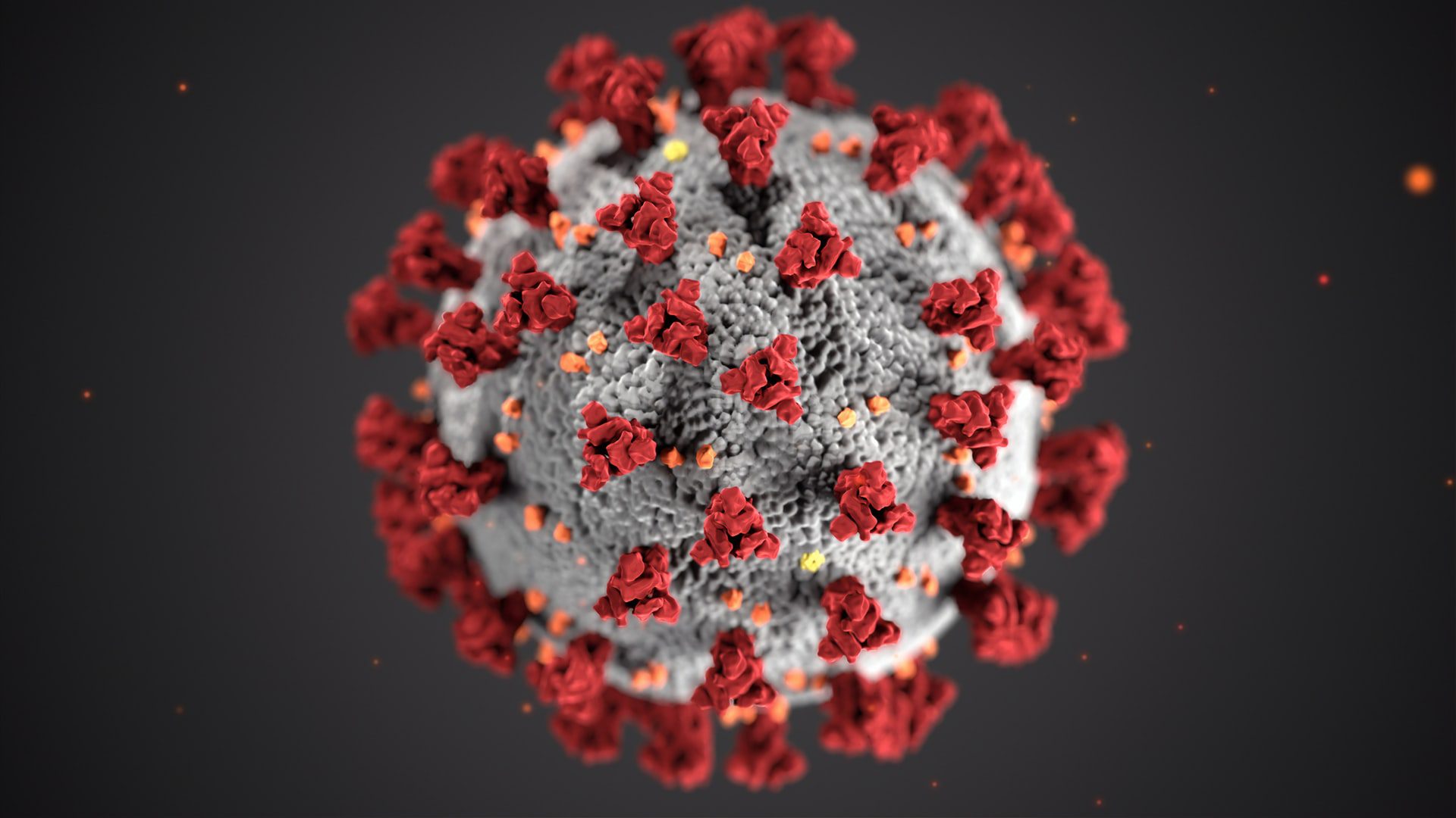 Coronavirus under an electron microscope
