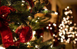 2021 Organic Christmas newsletter festive scene