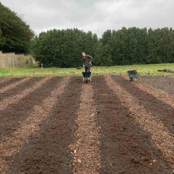 No dig beds to grow organic vegetables
